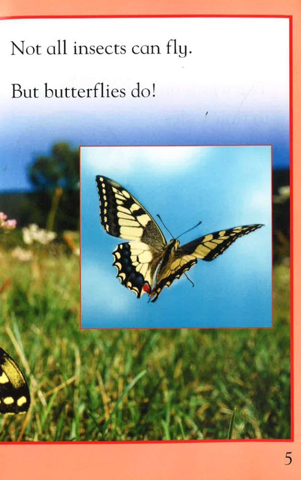 Kingfisher Readers: Butterflies (Level 1: Beginning To Read) Supply