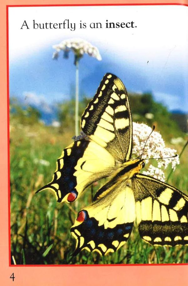 Kingfisher Readers: Butterflies (Level 1: Beginning To Read) Supply