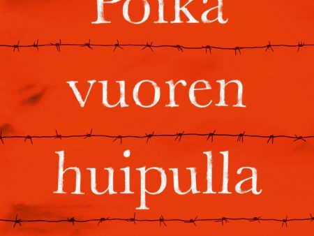 Poika vuoren huipulla Online