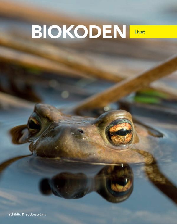 Biokoden 7 Textbok Online now